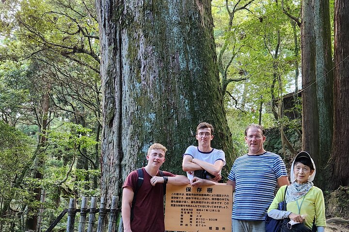 Tour personalizzato di mezza giornata del castello di Himeji con Guida autorizzata
