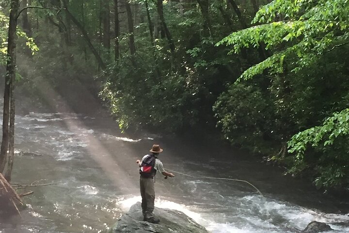 Smoky Mountains National Park Halve dag vliegvissen