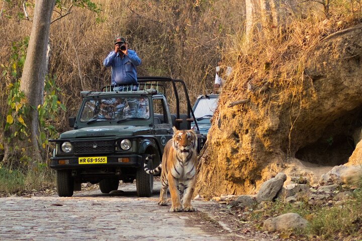 Excitante Jeep Safari no parque nacional Jim Corbett com guia