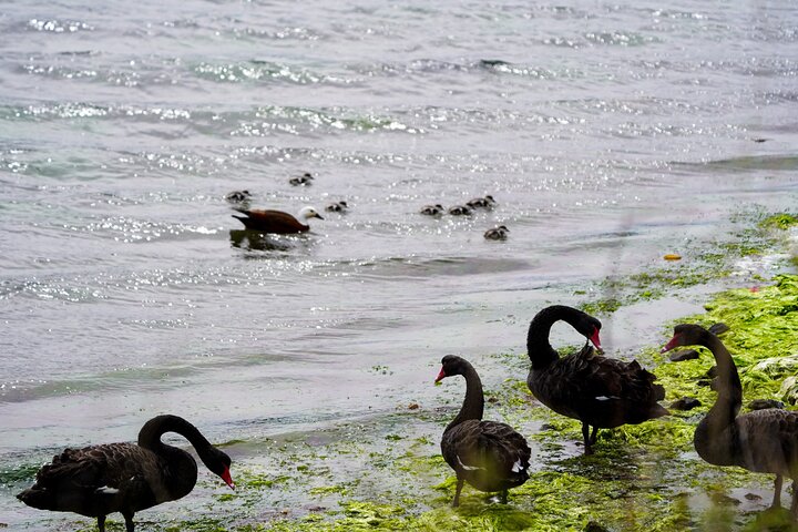 Clearwater Wildlife Tours (små grupper 10max) Oslo