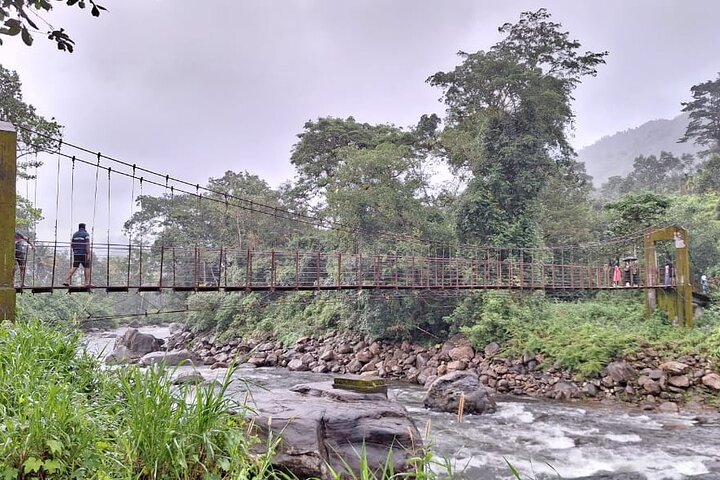 Tour naar Anakulam en watervallen met wilde olifanten (trekking in de Munnar-vallei)