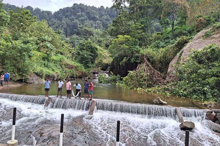 Tour naar Anakulam en watervallen met wilde olifanten (trekking in de Munnar-vallei)