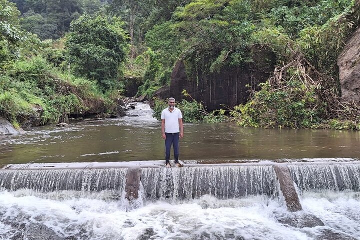 Tour naar Anakulam en watervallen met wilde olifanten (trekking in de Munnar-vallei)