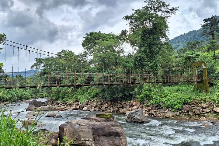 Tour naar Anakulam en watervallen met wilde olifanten (trekking in de Munnar-vallei)