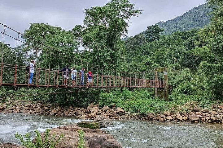 Tour naar Anakulam en watervallen met wilde olifanten (trekking in de Munnar-vallei)