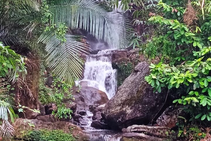 Tour naar Anakulam en watervallen met wilde olifanten (trekking in de Munnar-vallei)