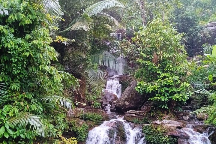 Tour naar Anakulam en watervallen met wilde olifanten (trekking in de Munnar-vallei)