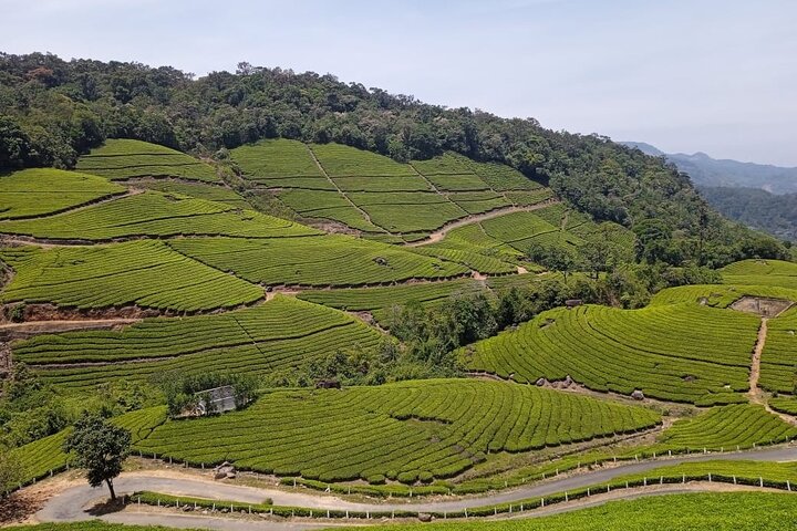 Tour naar Anakulam en watervallen met wilde olifanten (trekking in de Munnar-vallei)