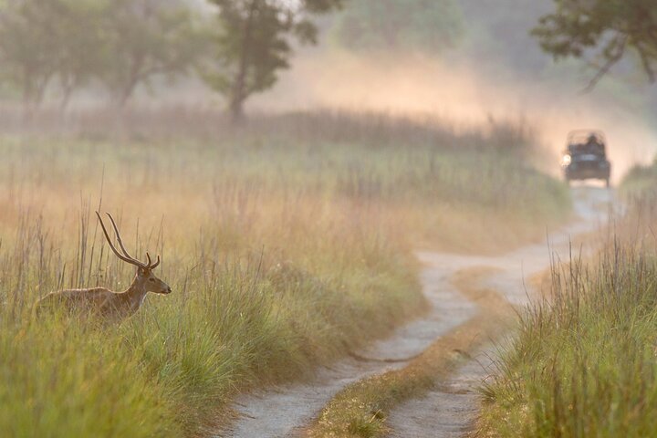 Excitante Jeep Safari no parque nacional Jim Corbett com guia