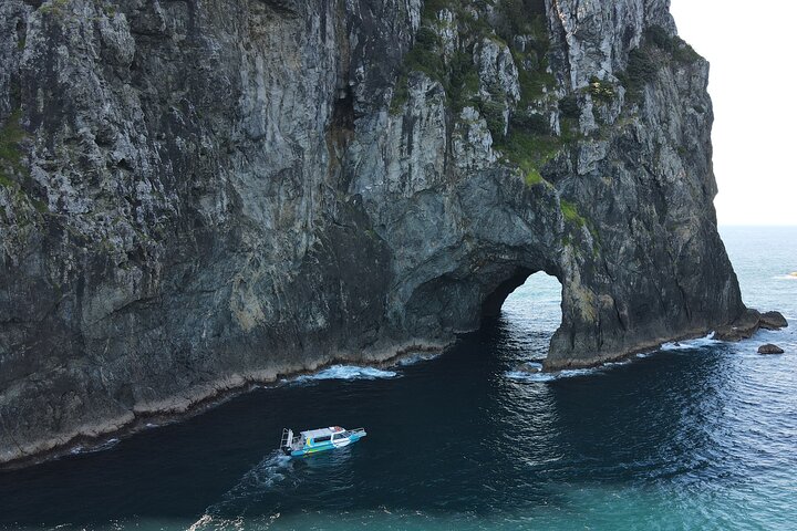 3 timer // Hole in the Rock Cruise & Bay of Islands Tour