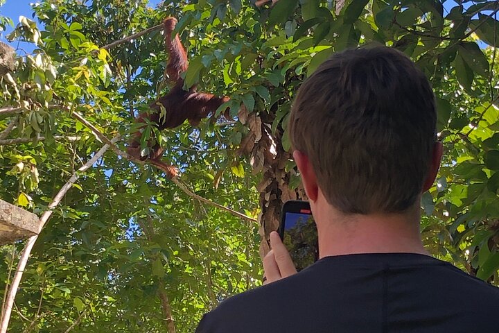 Casa flotante para orangutanes Kelotok Tanjung Puting 3 días Costo compartido