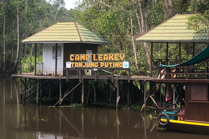 Casa flotante para orangutanes Kelotok Tanjung Puting 3 días Costo compartido