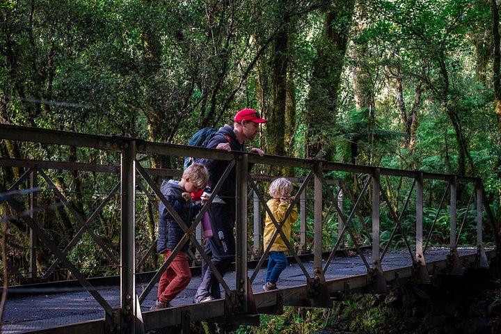 Recorrido a pie autoguiado por Milford Track Day - Milford Sound