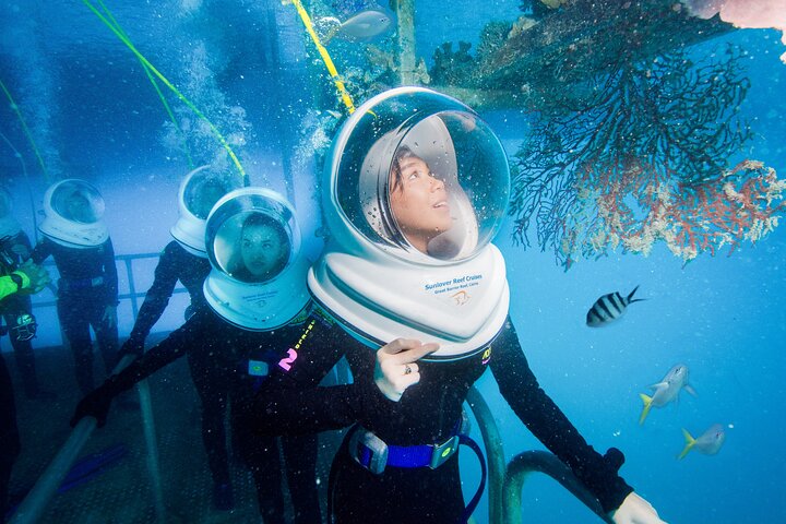 Sunlover Reef Cruises ofrece una gran experiencia de barrera de coral