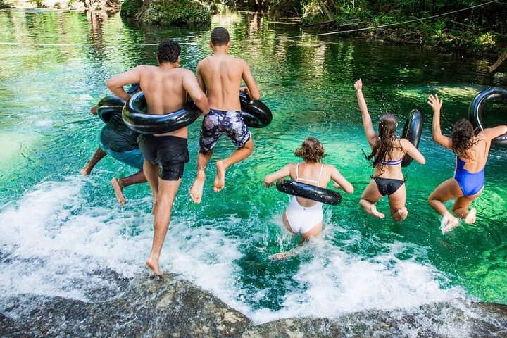 Discover Cascades & Turtle Experience with Yumi Tours