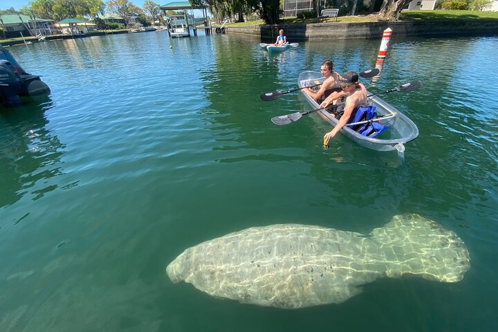 Hoteller i nærheden af Crystal River Clear Kayak Tour: Three Sisters Springs & Manatees