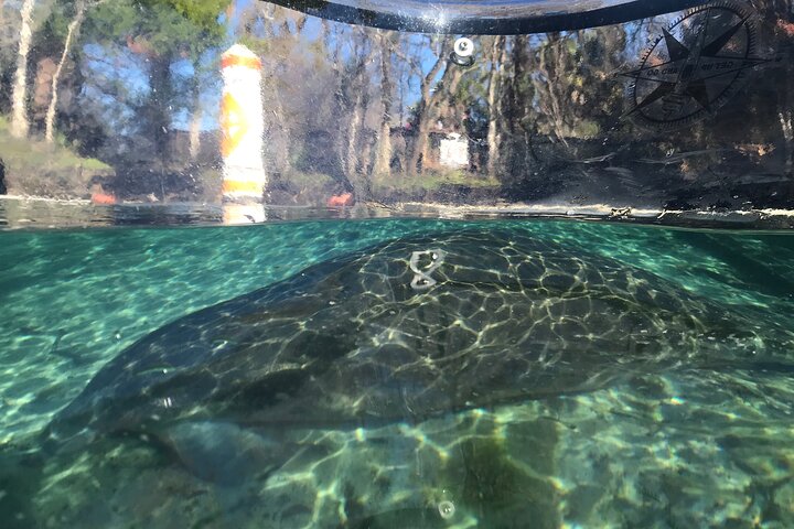 Hoteller i nærheden af Crystal River Clear Kayak Tour: Three Sisters Springs & Manatees