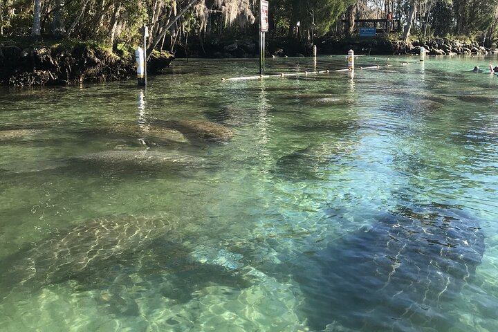 Hoteller i nærheden af Crystal River Clear Kayak Tour: Three Sisters Springs & Manatees