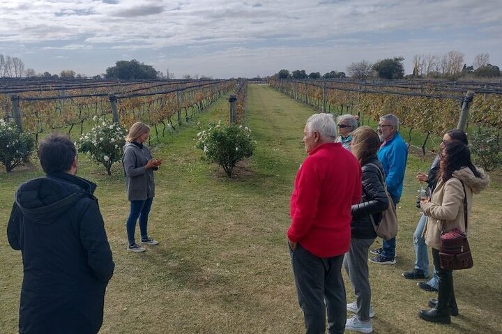 Vintur Privado a Colonia Caroya, Córdoba - Argentina
