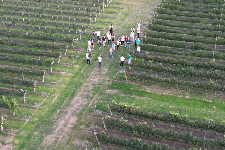 Vintur Privado a Colonia Caroya, Córdoba - Argentina