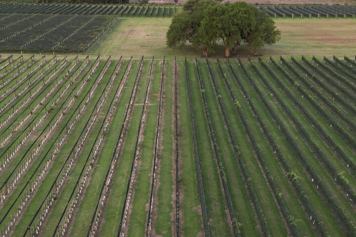 Vintur Privado a Colonia Caroya, Córdoba - Argentina