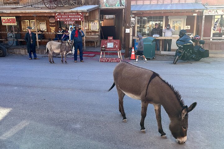 Oatman Mining Camp & Burros : Visite historique de la Route 66 au départ de Laughlin