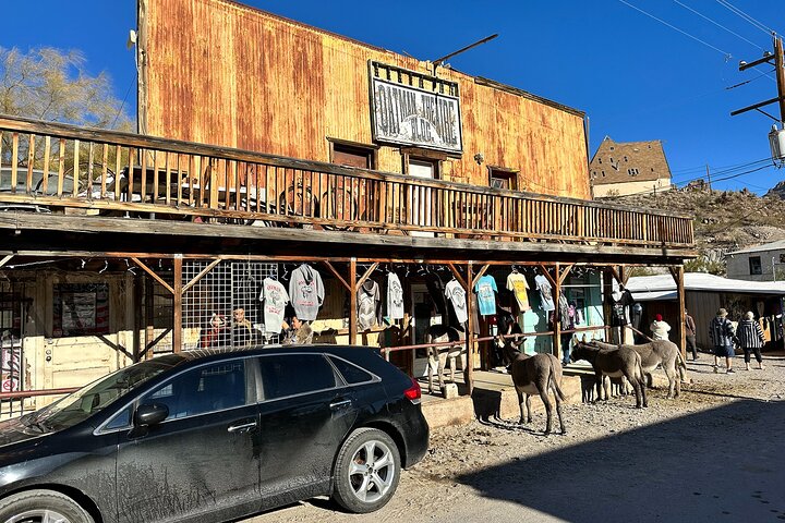 Oatman Mining Camp & Burros : Visite historique de la Route 66 au départ de Laughlin