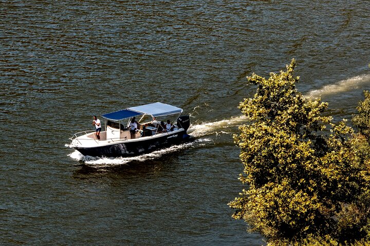 Pinhão : Crociera sul fiume Douro con pranzo incluso