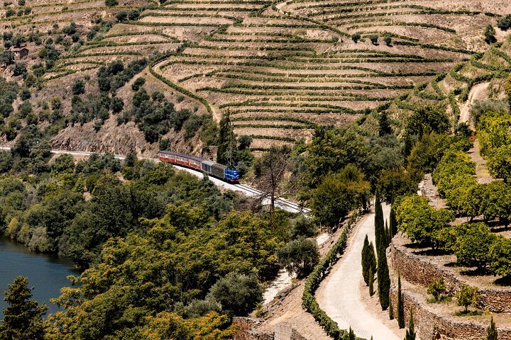 Pinhão : Crociera sul fiume Douro con pranzo incluso