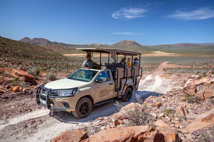 Big Five Safari and Breede River Valley Guided Day Trip