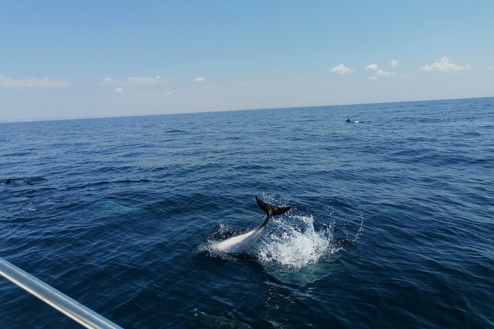 Passeio de barco, festa em barco, observação de golfinhos, pesca.
