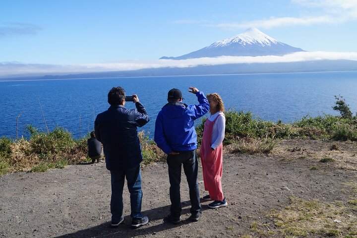Helgedagstur til Osorno-vulkanen og Petrohue Falls