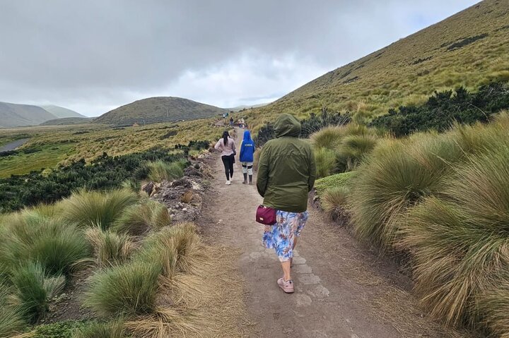 Excursão de um dia ao Antisana Condor Sanctuary & Hummingbird Observatory