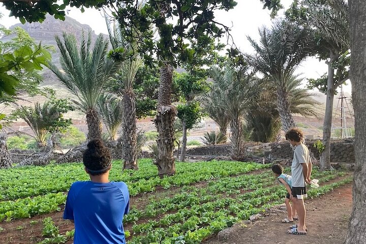 Praias, Aldeias e Monte Verde, São Vicente (incluindo São Pedro)