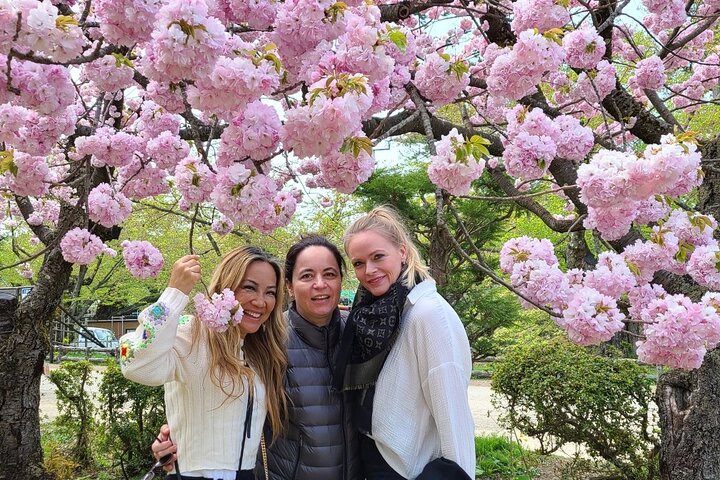 Excursion personnalisée d'une demi-journée à Hirosaki avec Guide local agréé