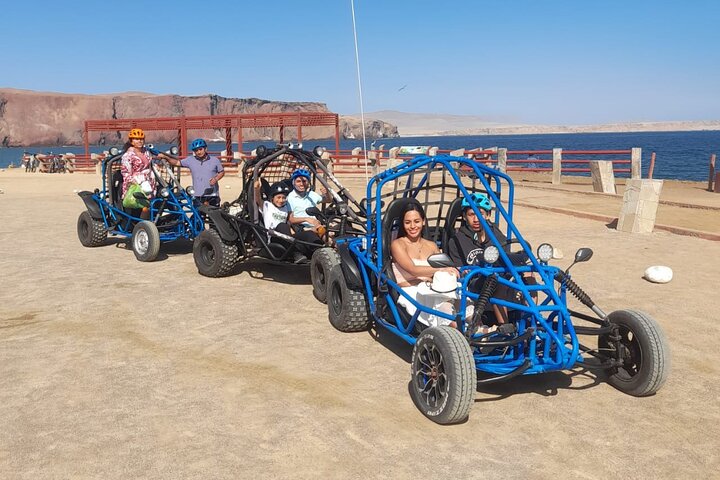 Passeie pela Reserva Nacional de Paracas em um MiniBuggy