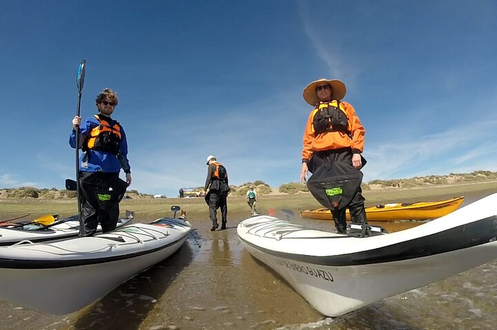 Esperienza di canoa in kayak con i leoni marini a Puerto Madryn