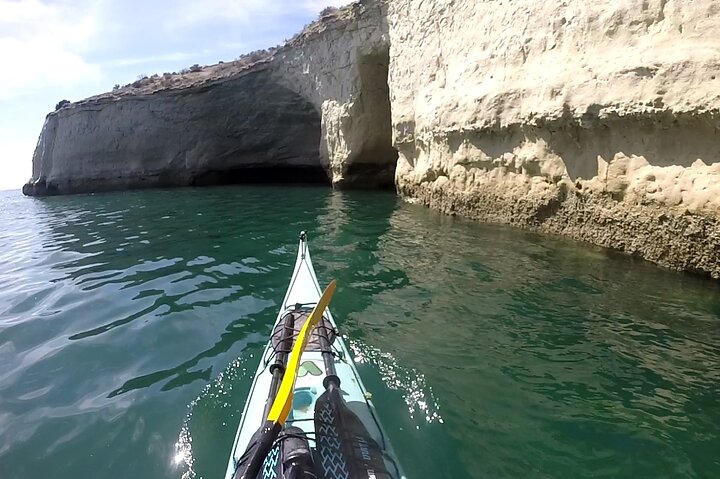 Esperienza di canoa in kayak con i leoni marini a Puerto Madryn