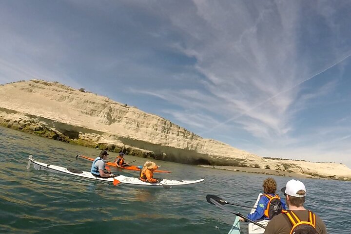Esperienza di canoa in kayak con i leoni marini a Puerto Madryn