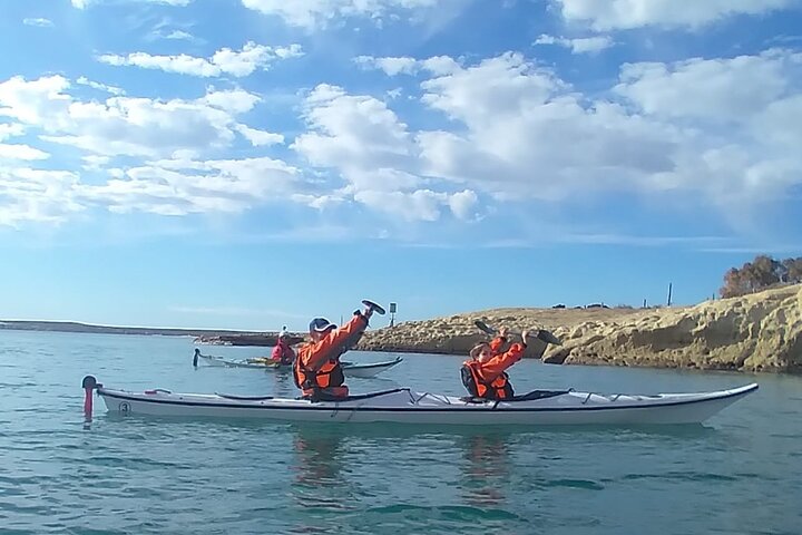 Esperienza di canoa in kayak con i leoni marini a Puerto Madryn