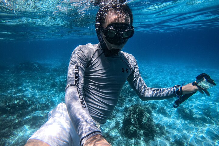 Volledige dag Dhow: Khasab, Musandam: dolfijnen, snorkelen en fjorden