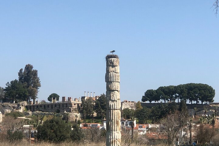Excursion privée d'une journée à Ephèse au départ du port/hôtels de Cesme