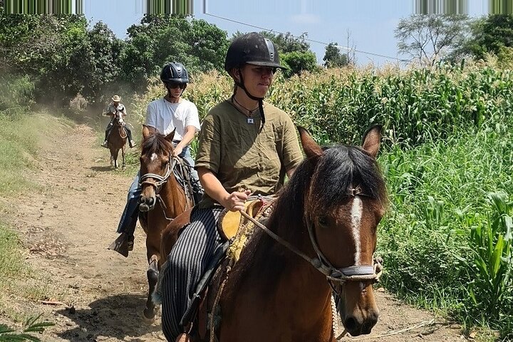 4-stündiges Reiten, Inka-Pyramiden im größten Trockenwald der Welt