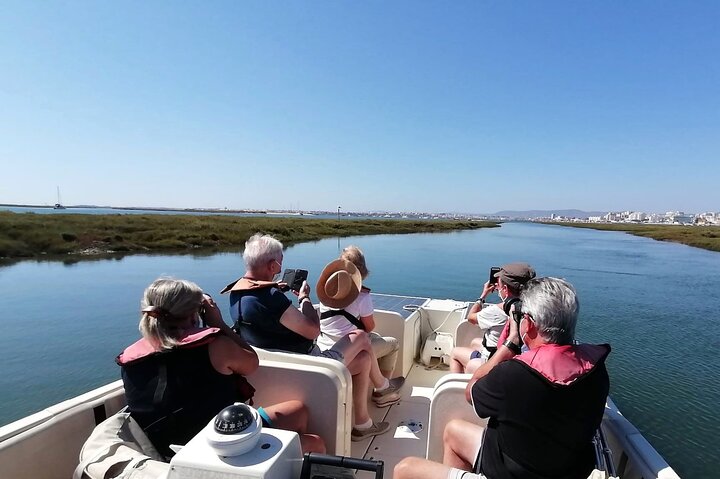 Eco Boat Tour i Ria Formosa Lagoon från Faro