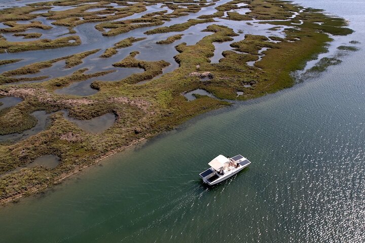 Eco Boat Tour i Ria Formosa Lagoon från Faro