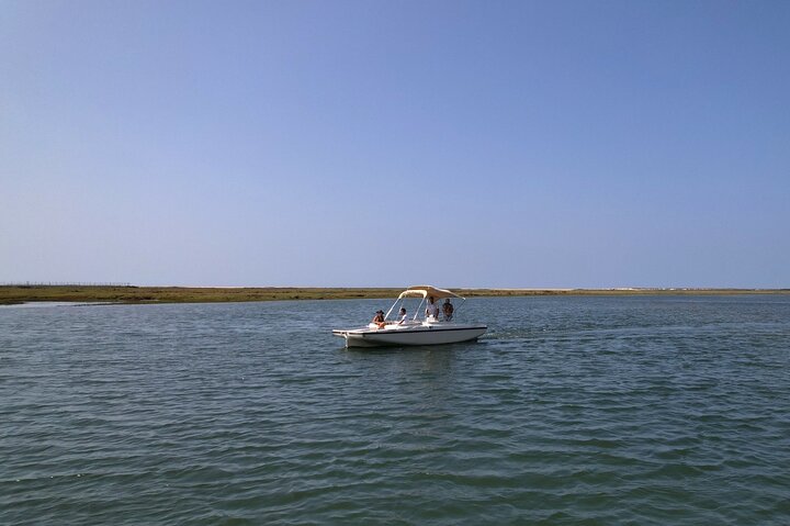Eco Boat Tour i Ria Formosa Lagoon från Faro