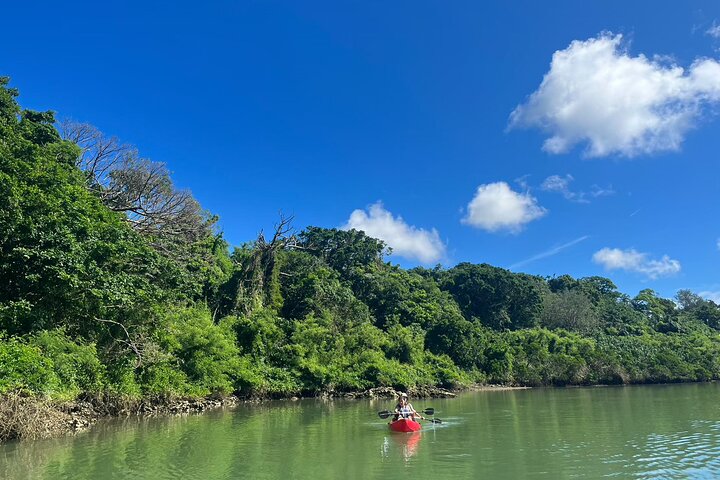 Kajakfahrt durch die Mangroven und Meeresangeln auf Okinawa