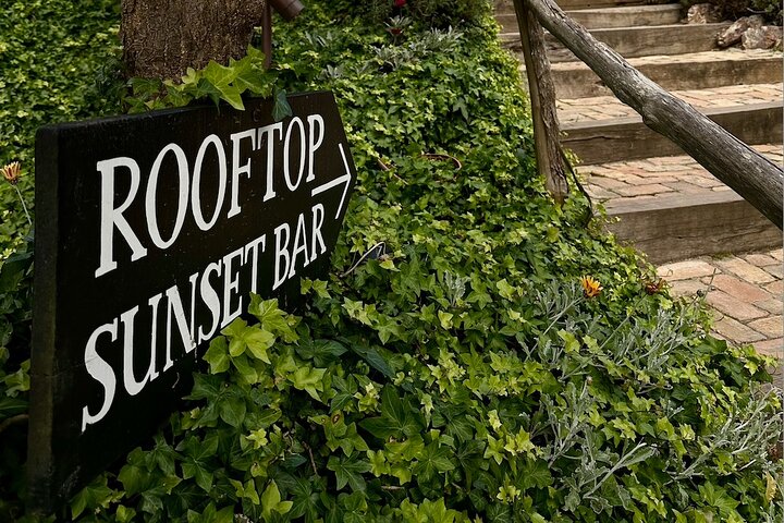 Waiheke island wine tours with Waitiki Tours
