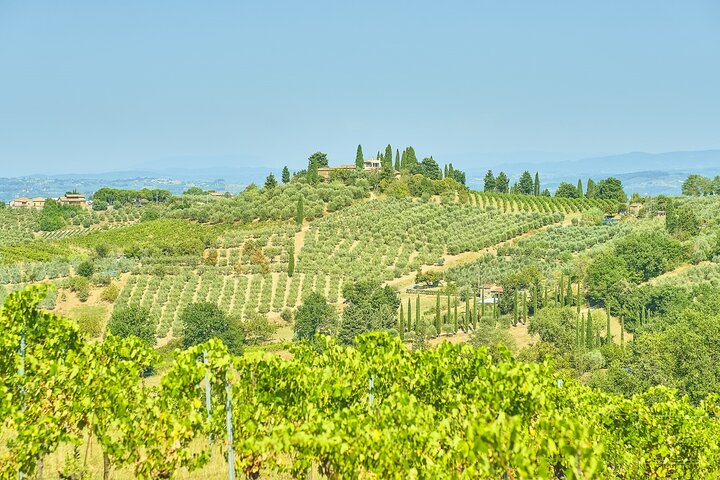 Pisa, Siena, San Gimignano met lunch en wijnproeverij bij een wijnmakerij