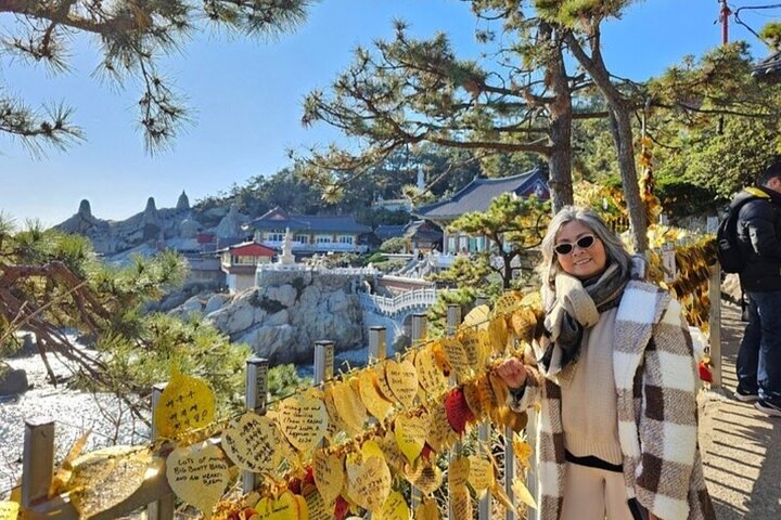 Puerto de cruceros de Busan – Excursión Premium para grupos pequeños (máx. 6 personas)